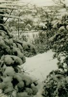1956 Blick vom Burgberg