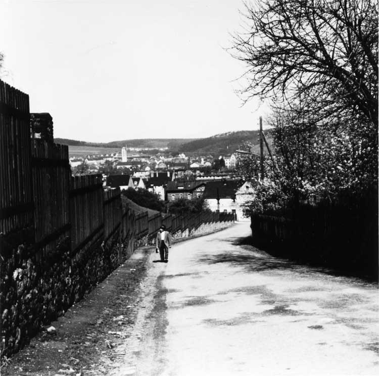 15297_P06