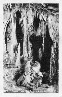 15941_P33 15941_P33