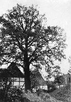 50303_P81.jpg 50303_P81.jpg