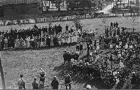 50350_P85.jpg 50350_P85.jpg