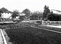 15039_P13 15039_P13