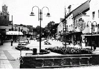 15077_P13 15077_P13
