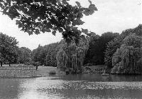 15758_P19 15758_P19