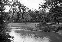 15768_P19 15768_P19