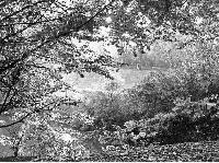 15772_P19 15772_P19