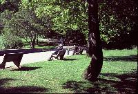 50880_D2.jpg 50880_D2.jpg