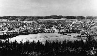 15354_P10 15354_P10