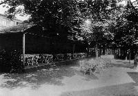 15227_P16 15227_P16