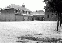 20050_p53.jpg 20050_p53.jpg