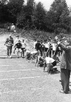 20060_p53.jpg 20060_p53.jpg