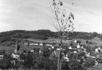 50102_P81.jpg 50102_P81.jpg