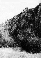 15384_P10 15384_P10